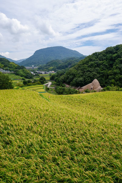 瀬戸内国際芸術祭2019